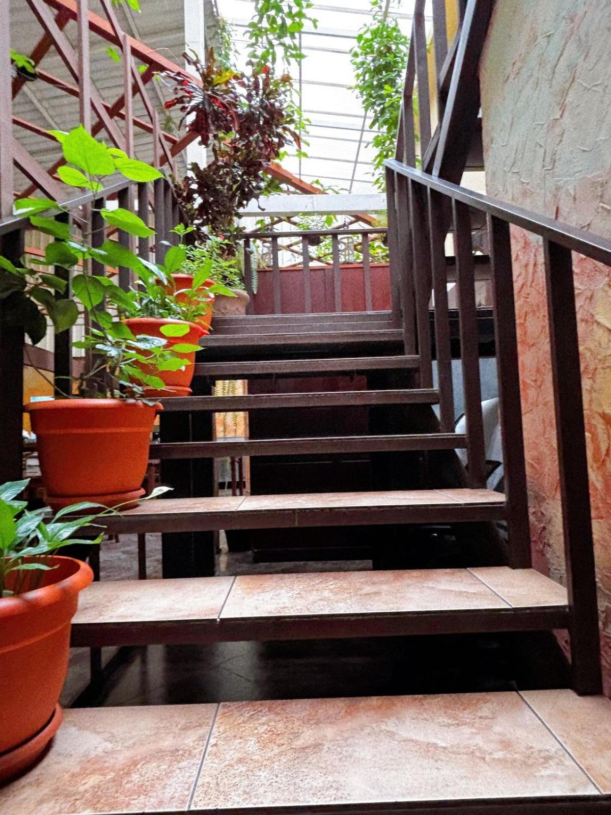 Antigua Inn Hotel Guatemala City ภายนอก รูปภาพ