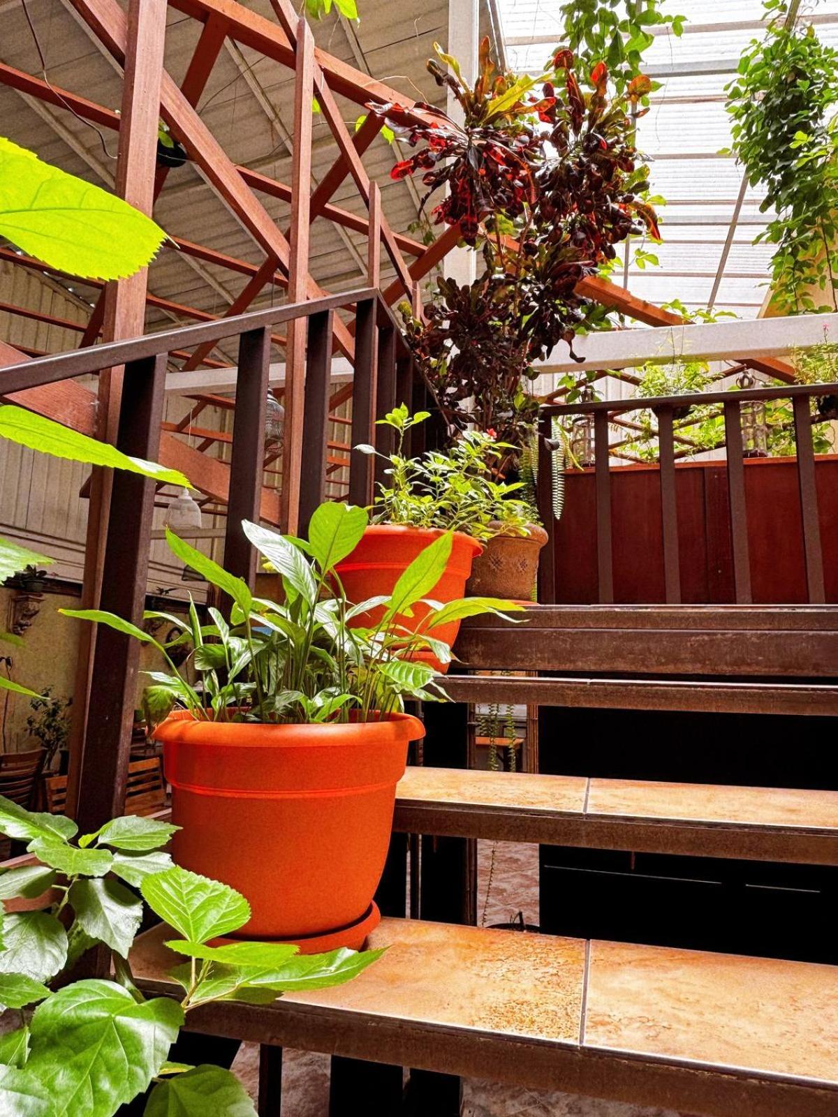 Antigua Inn Hotel Guatemala City ภายนอก รูปภาพ